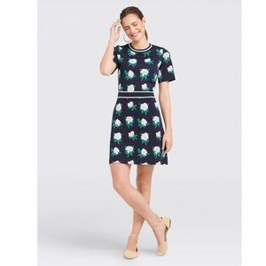 Magnolia Persley Ponte Dress from Draper James